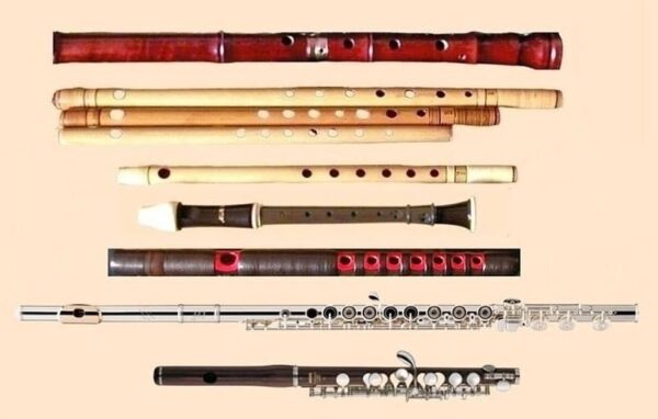 Woodwind Instruments List : Inside the Wind Instrument Woodwind Family ...