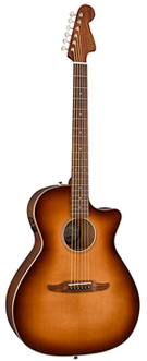 newporter classic best acoustic guitar