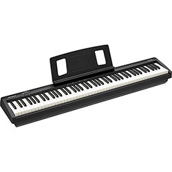 roland fp10 best piano keyboard for beginners