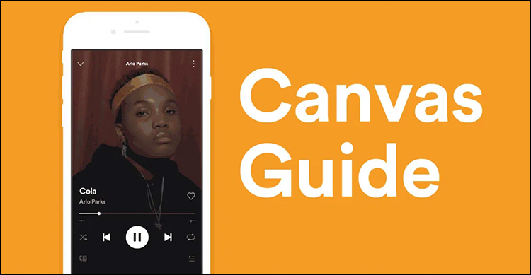 spotify canvas guide